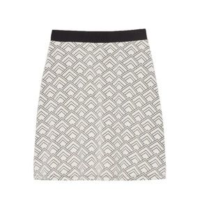 Women's Petite Aline Short Skirt